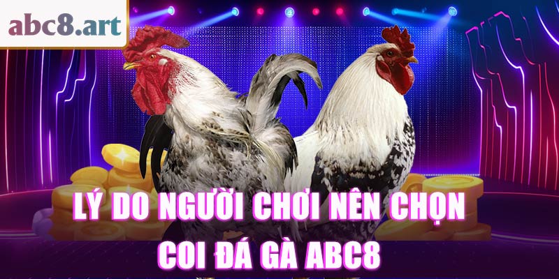 Lý do người chơi nên chọn coi đá gà tại Abc8